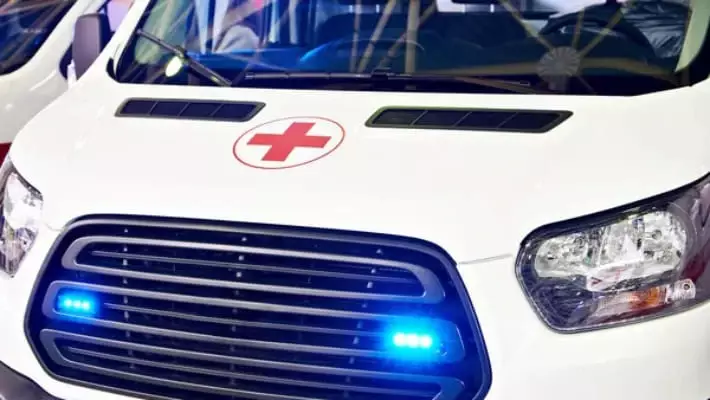 В Ангрене 8-летний мальчик погиб после нападения бродячих собак