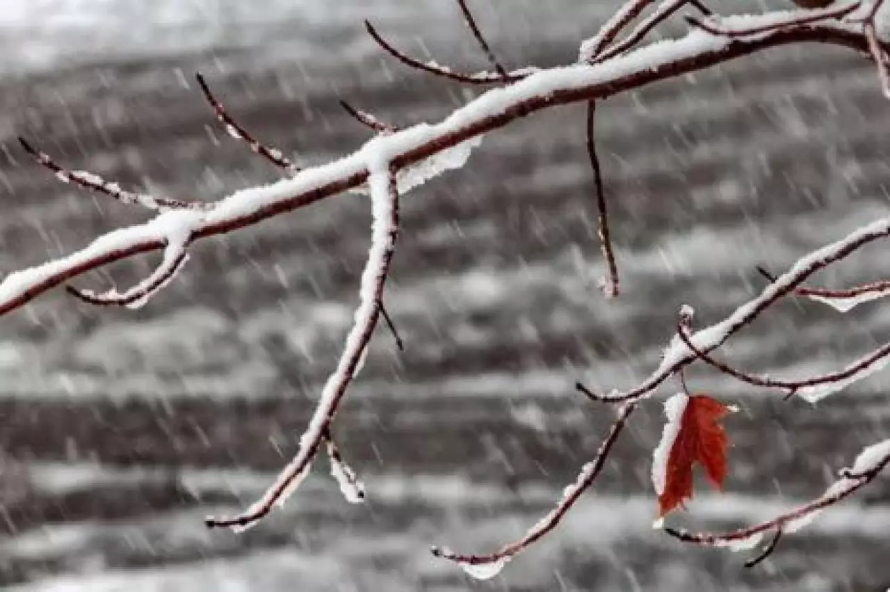Еліміздің мегаполистерінде қар аралас жаңбыр жауады