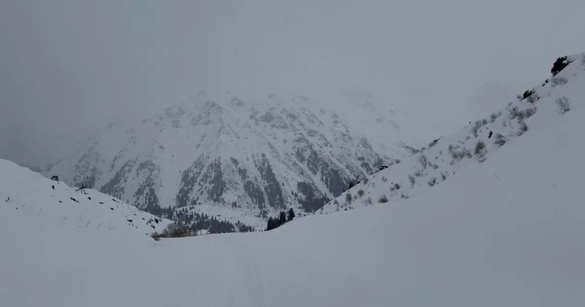  Қар көшкіні қаупі: Алматы тауларында жағдай күрделі 