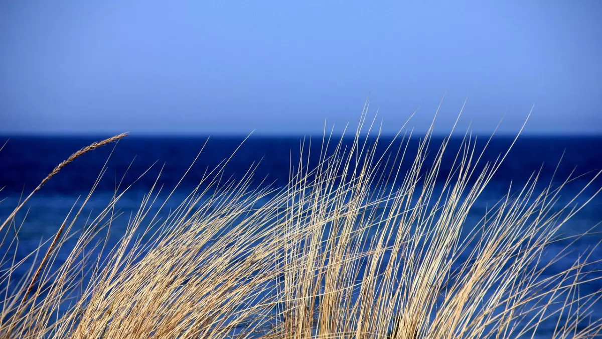 На реке Иртыш провели взрывные работы для предотвращения паводков