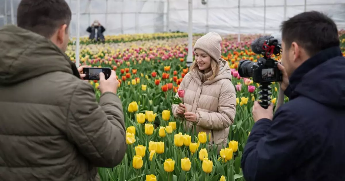  В соцсетях обсуждают «теплицы блогеров» и китайские тюльпаны к 8 марта 