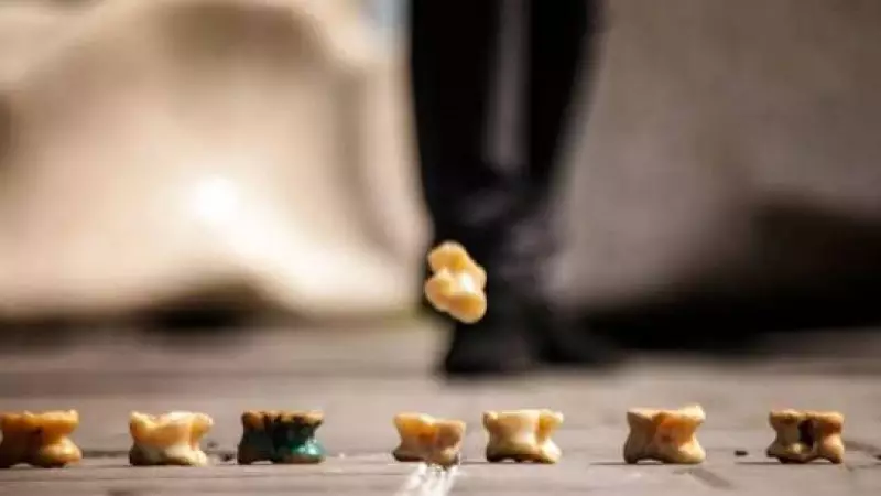 Түркістанда асық атудан Әлем кубогы өтеді