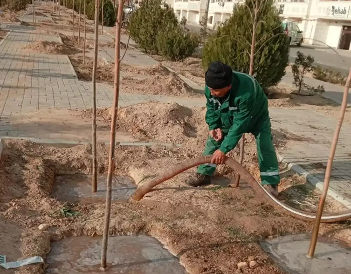 Более миллиарда тенге потратят на озеленение Актау в 2026 году - новости на Lada.kz 07.03.2026