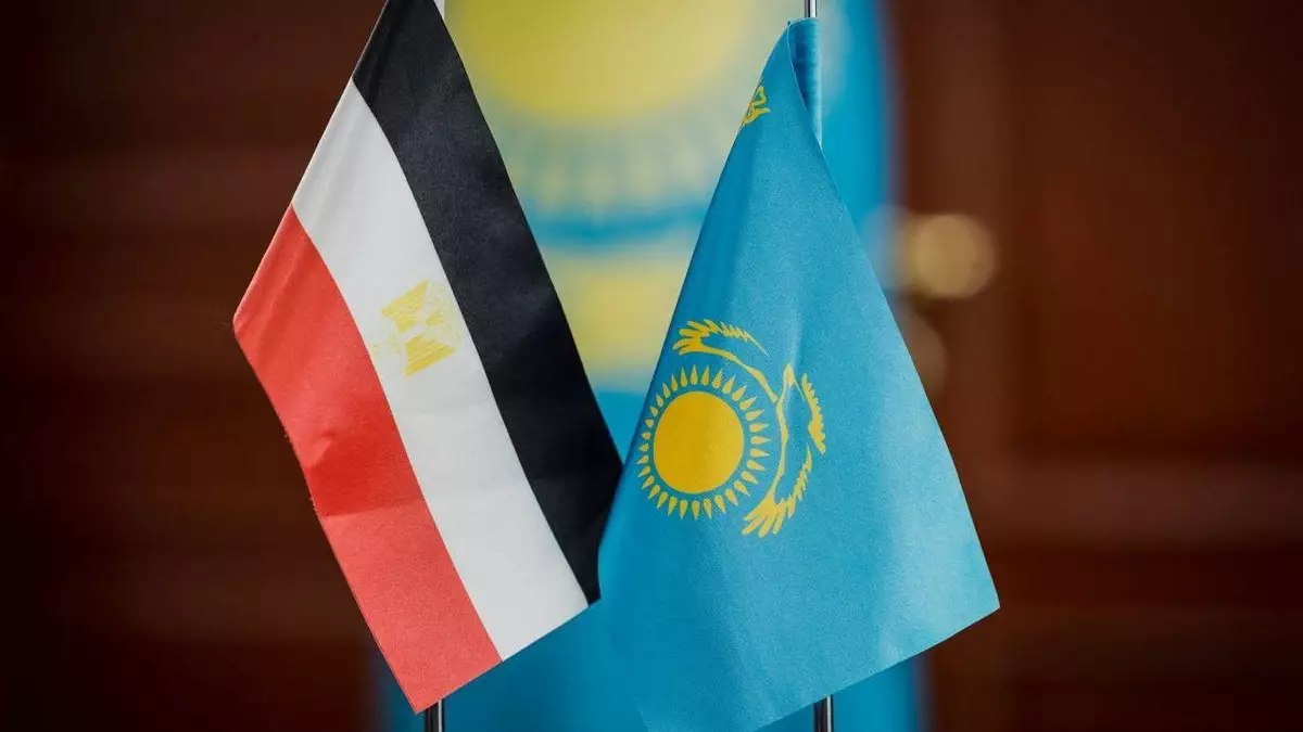 Қазақстан мен Мысыр сыртқы істер министрлері өңірдегі жағдайды талқылады