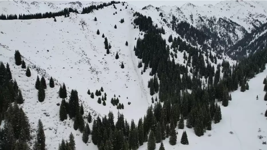 Алматыда құтқарушылар тұрғындарды тауға бармауға үндеді