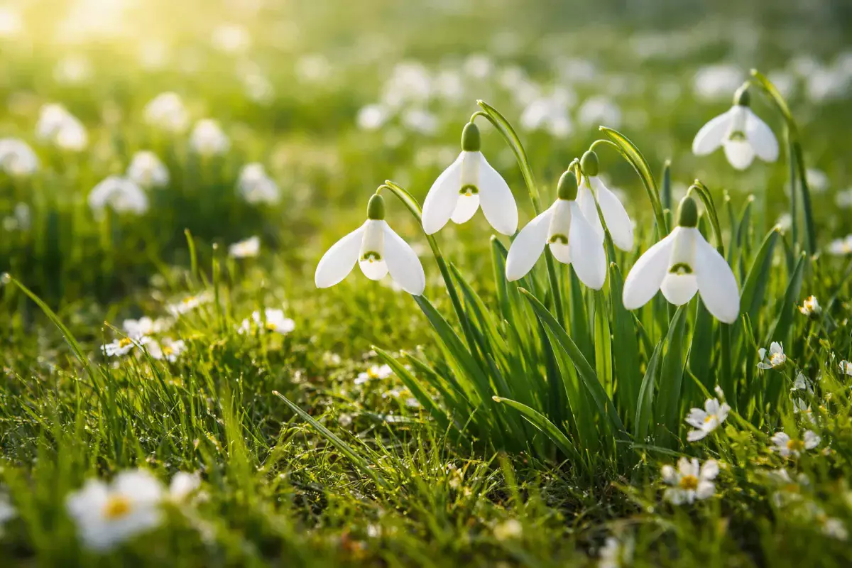 Какой будет весна в Астане и по Казахстану: прогноз синоптиков