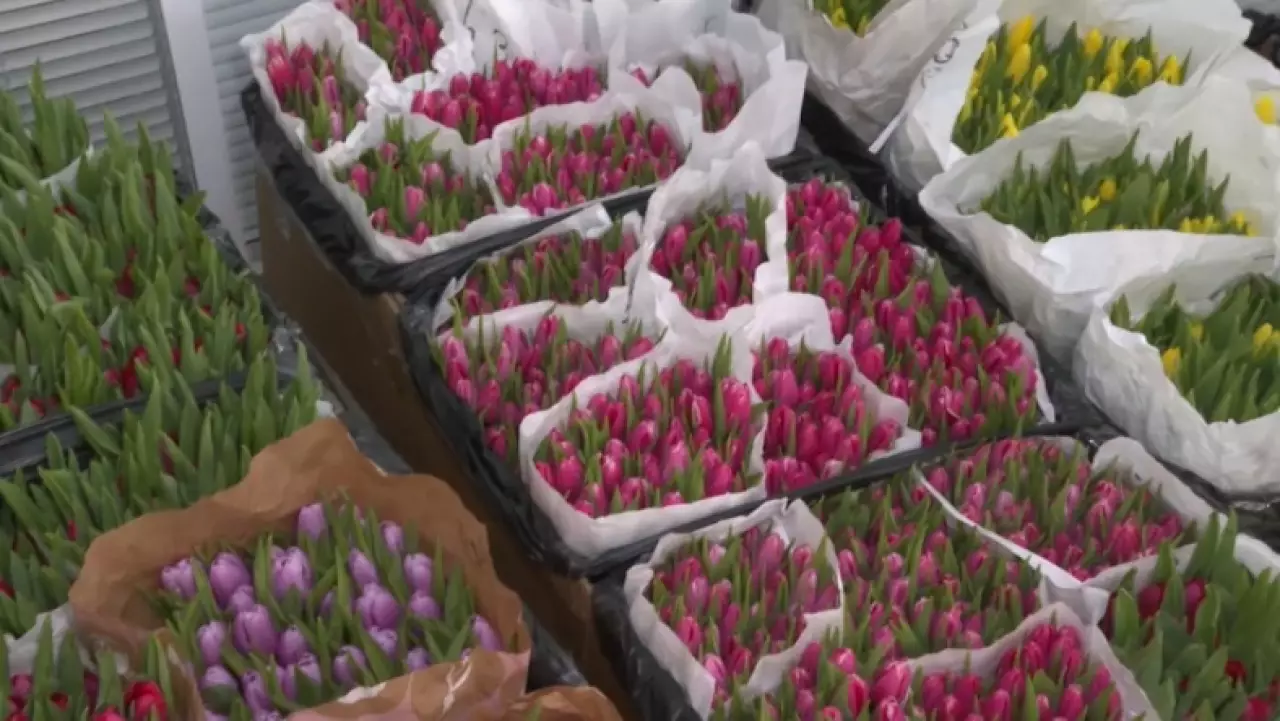 Казахстанские цветы вытесняют импортные