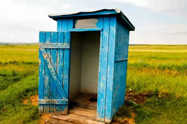 Түркістан облысында үш жасар бала даладағы әжетханаға құлап кеткен (ВИДЕО)