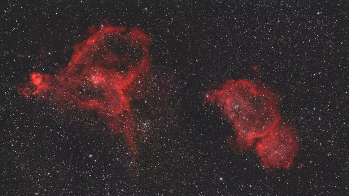 Космический букет: в сети показали туманности, напоминающие цветы