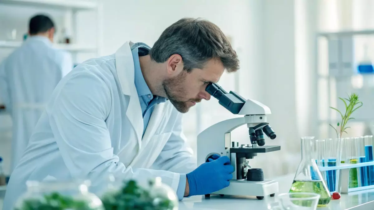 Иммунные клетки против рака научились выращивать в лаборатории