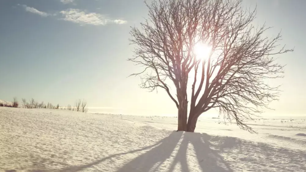 Қазақстанда күн күрт суытып, аяз -30 градусқа дейін жетеді