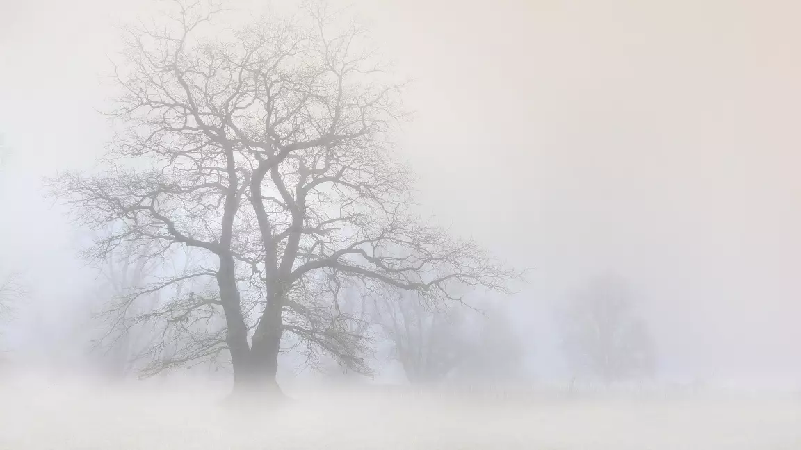 "Тұман, көктайғақ". Бүгін ауа райы қандай болады?