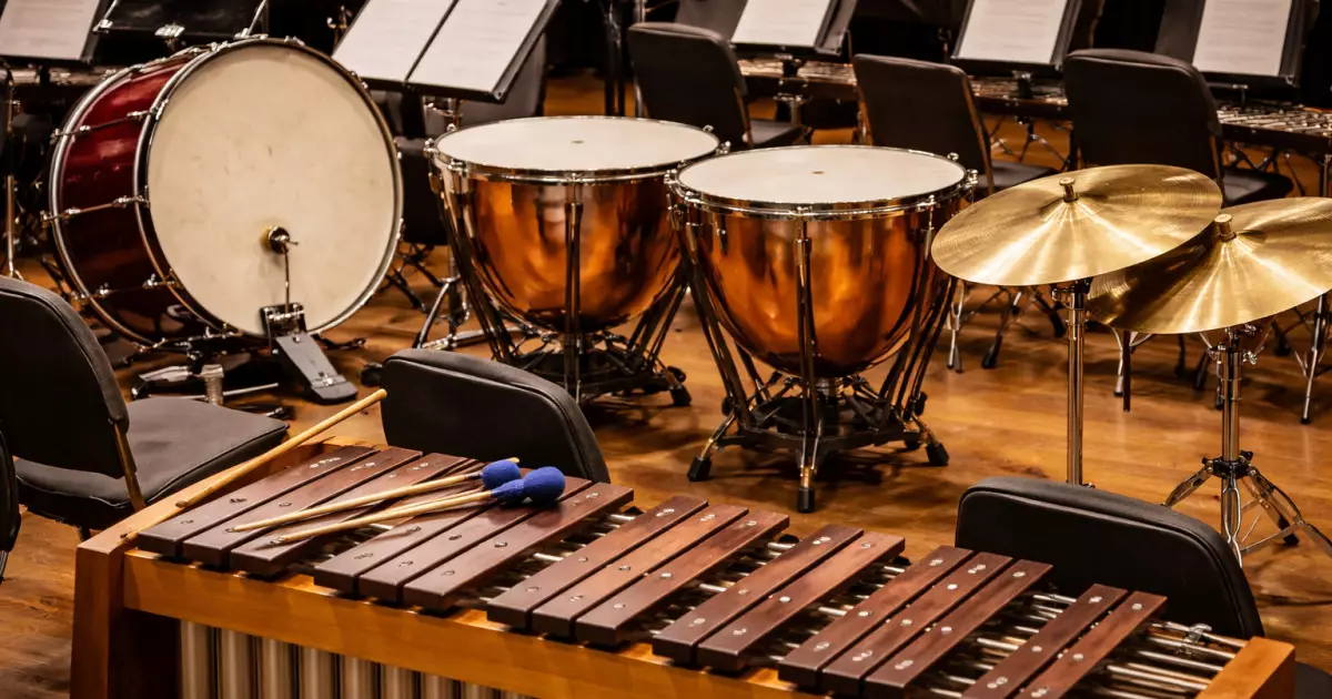   Бұл аспаптарсыз әлемдік музыка әлдеқайда өзгеше болар еді: ұрмалы аспаптарға шолу   