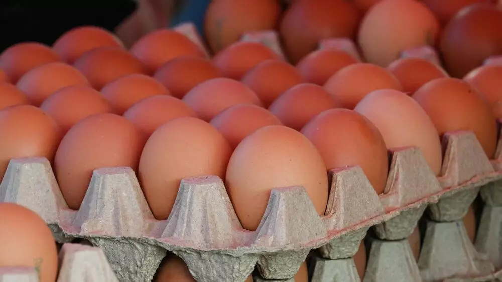 Казахстан ввел шестимесячный запрет на импорт куриных яиц из стран ЕАЭС.