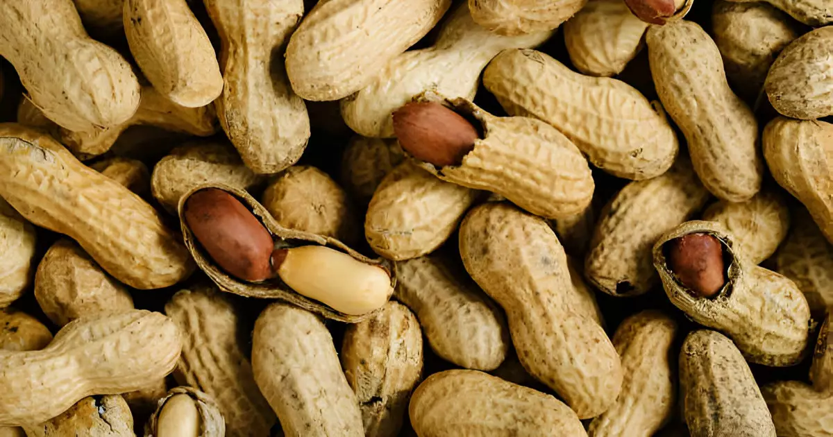  Ғалымдар жержаңғақ қабығынан арзан әрі экологиялық электроника жасауға болатынын анықтады 