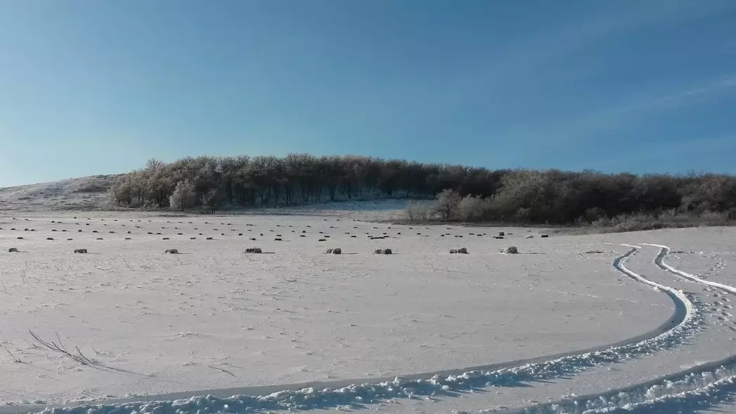 Спасатели нашли пропавшего жителя Костанайской области по следам на сугробах