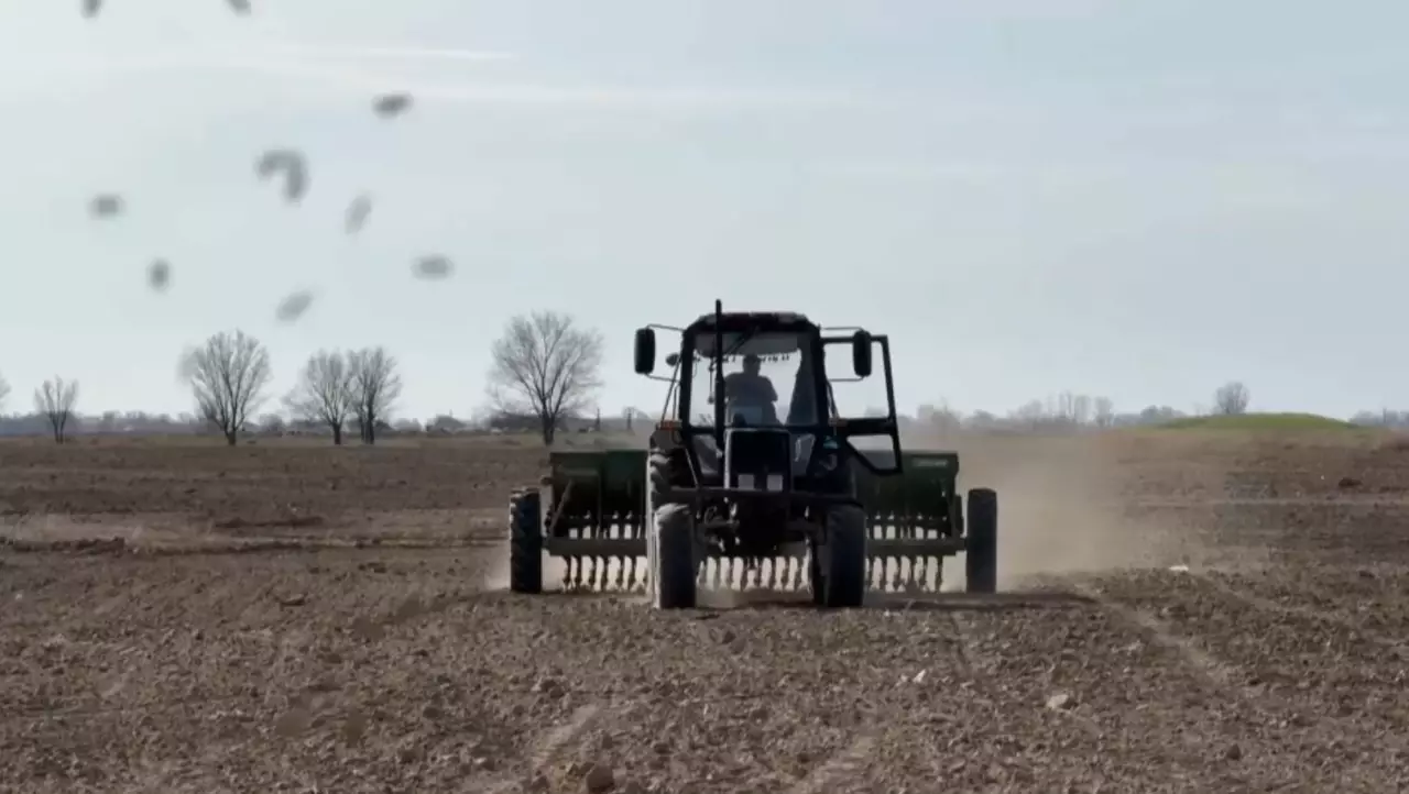 Әулиеата өңірі көктемгі егіске әзір отыр