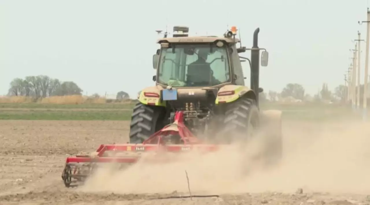 Аграрии Жамбылской области засеют свыше 600 тысяч гектаров