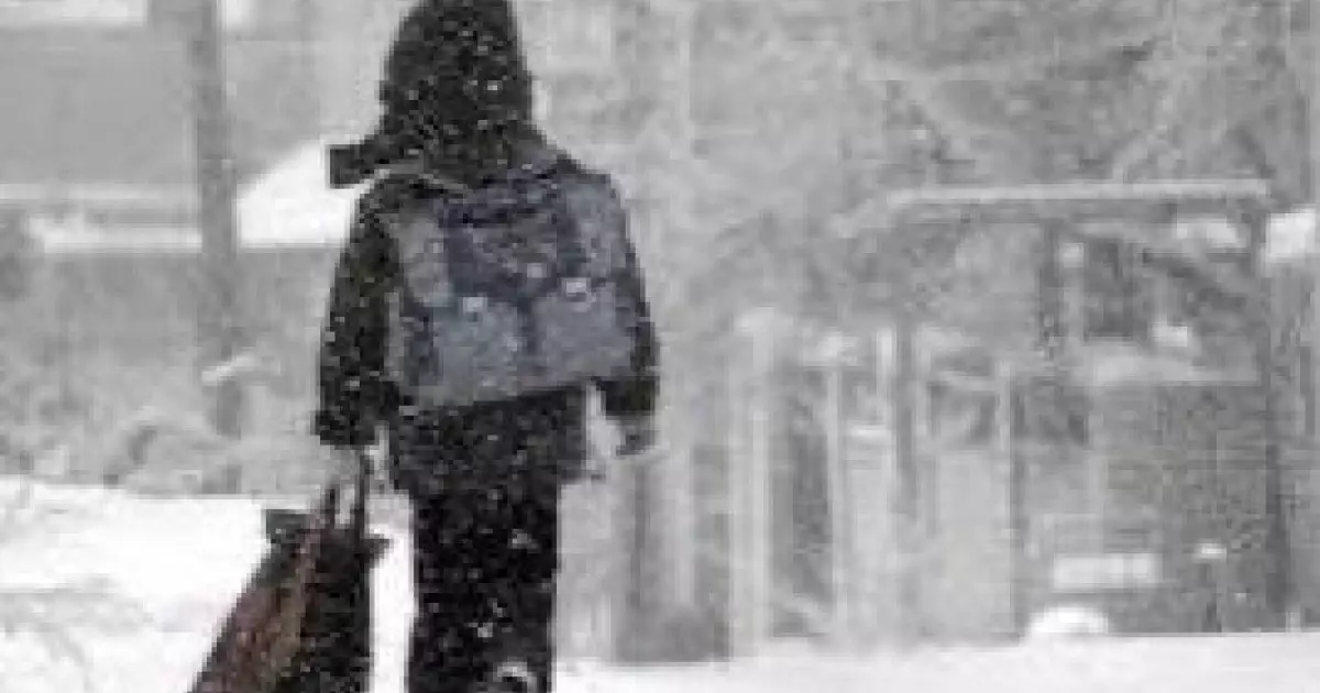  Астанада екінші ауысымдағы оқушылар қашықтан оқитын болды 