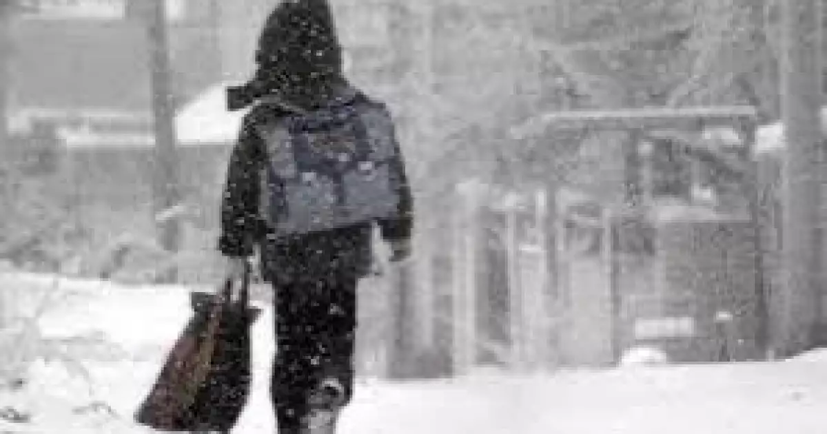   Астанада екінші ауысымдағы 0-6-сынып оқушылары қашықтан оқыту форматына ауыстырылады   