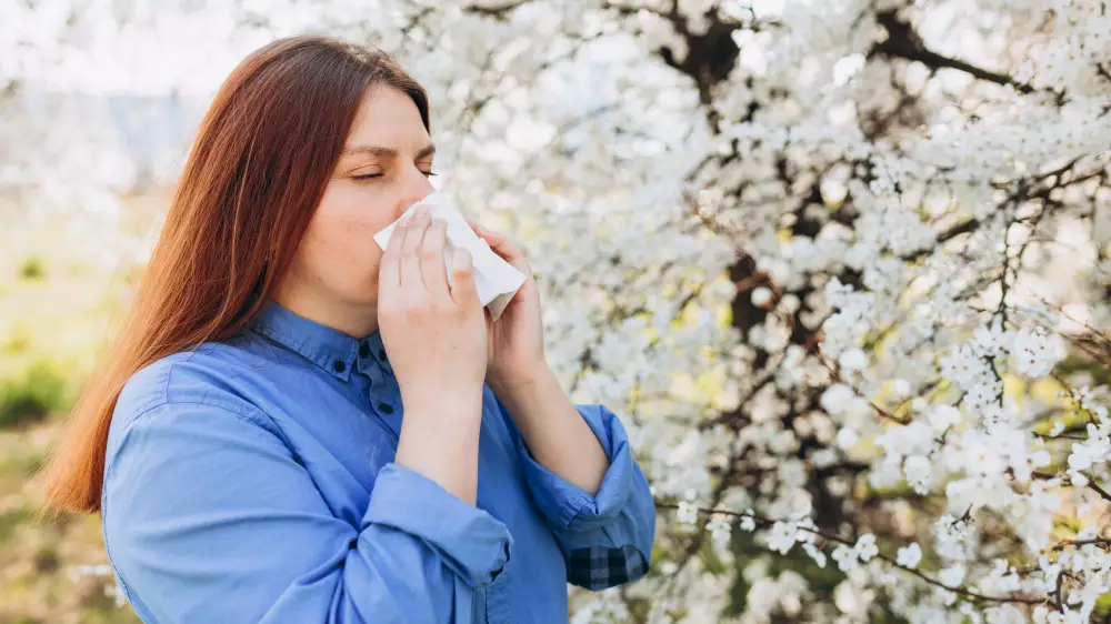В Алматы начинается сезон аллергии: врач объяснил, как не спутать её с простудой