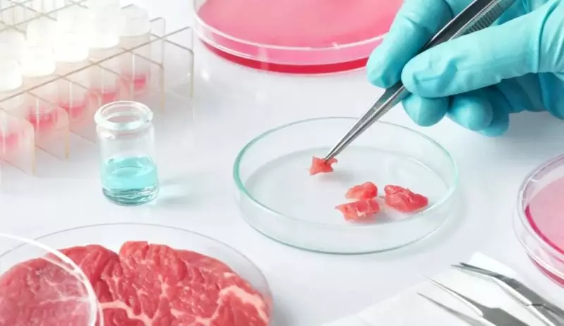 Казахстанцы не защищены от заражённого мяса? Ученый раскрыл неудобную правду