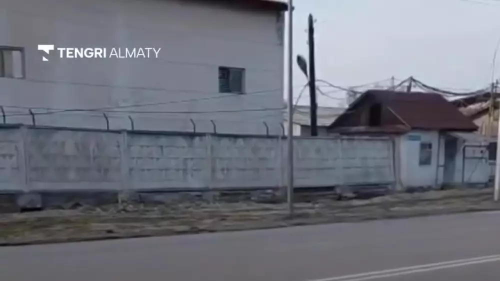 “Здесь была лесополоса“: в акимате ответили на видео с вырубкой деревьев