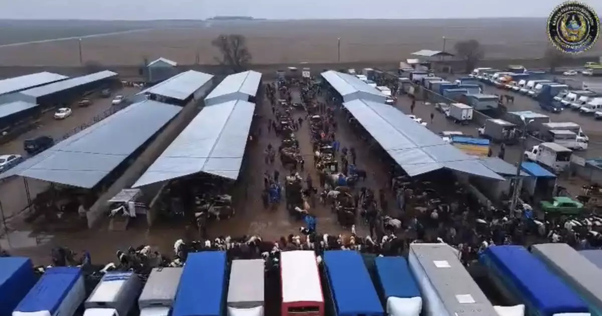  Түркістанда ветеринария заңнамасын бұзған 30-ға жуық адам ұсталды 