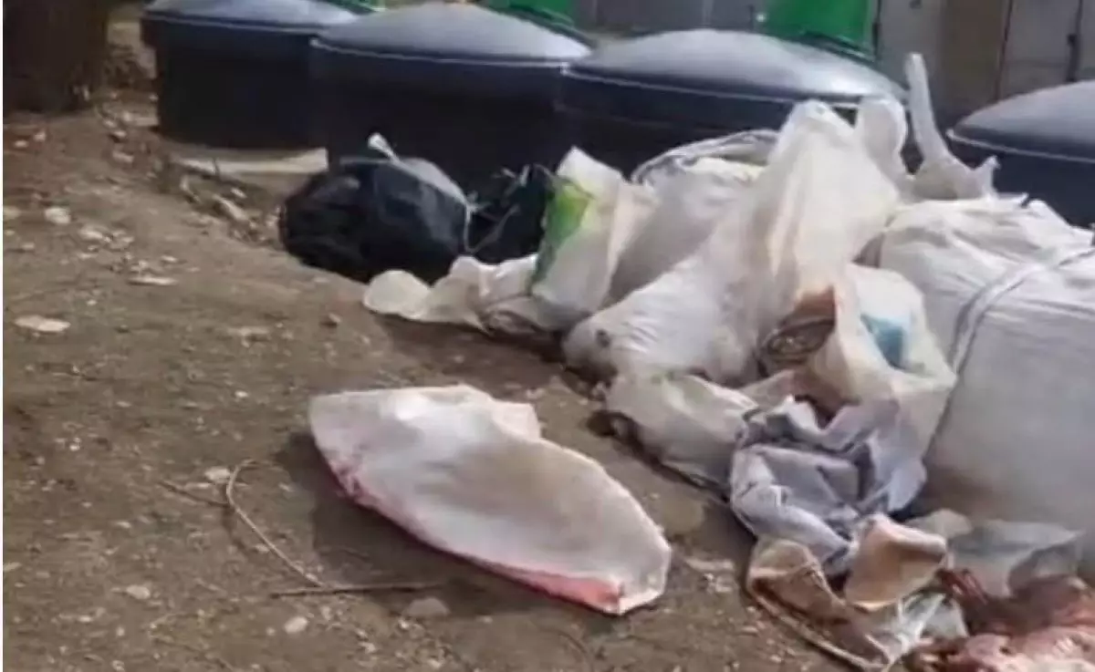 Алматыда қоқыстан терісі сыпырылған жануарлардың өлексесі табылды