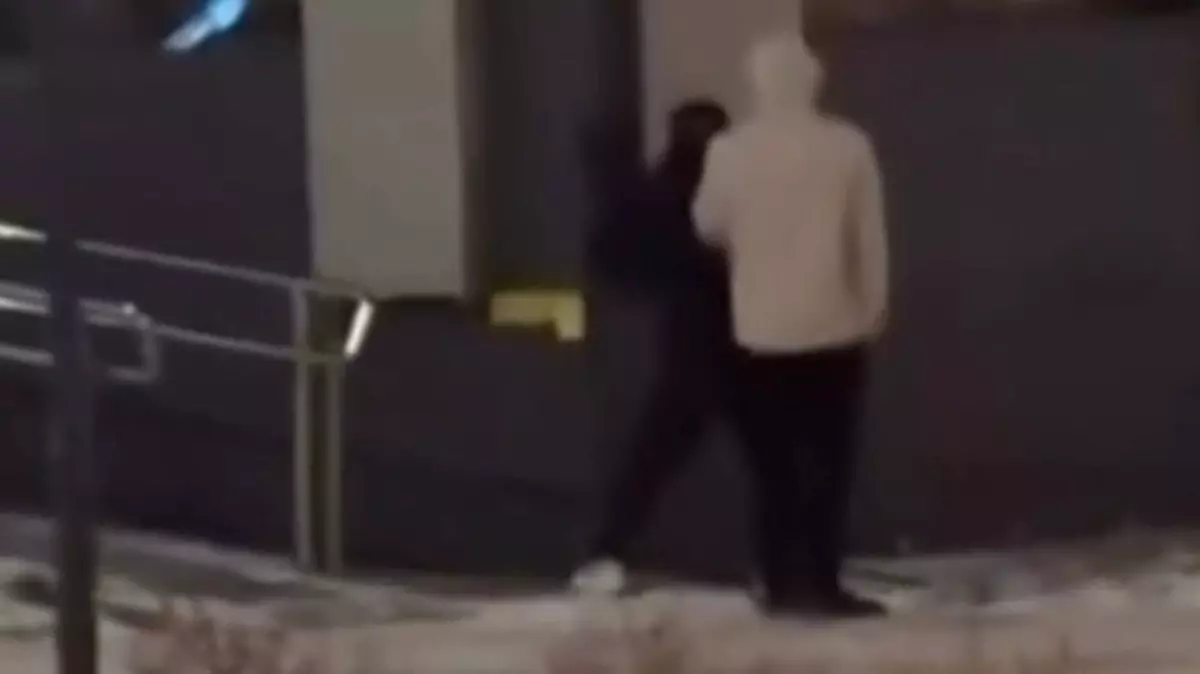 Семейде тәртіп бұзған екі шетелдікке Қазақстанға кіруге шектеу қойылды