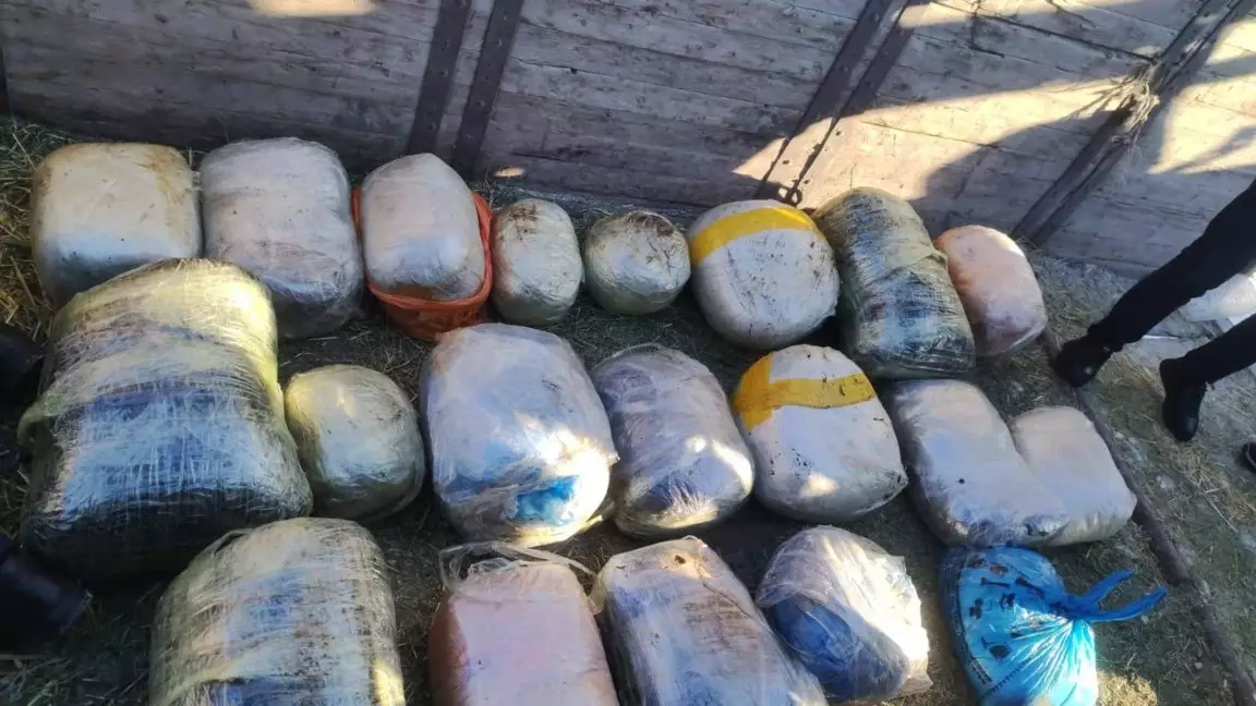 Қостанай облысында ер адамнан 200 келіден астам есірткі тәркіленді