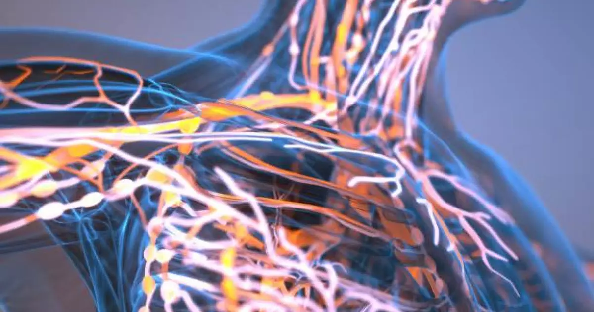  Иммундық жүйе қартайған сайын неге әлсірейді? – ғалымдар анықтауға жақын қалды 