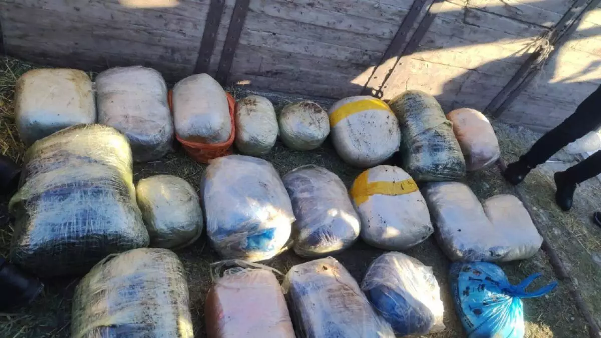 Свыше 200 килограммов наркотиков изъяли в Костанайской области