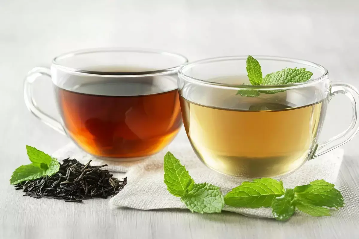 Названо главное отличие черного чая от зеленого - новости на Lada.kz 10.03.2026