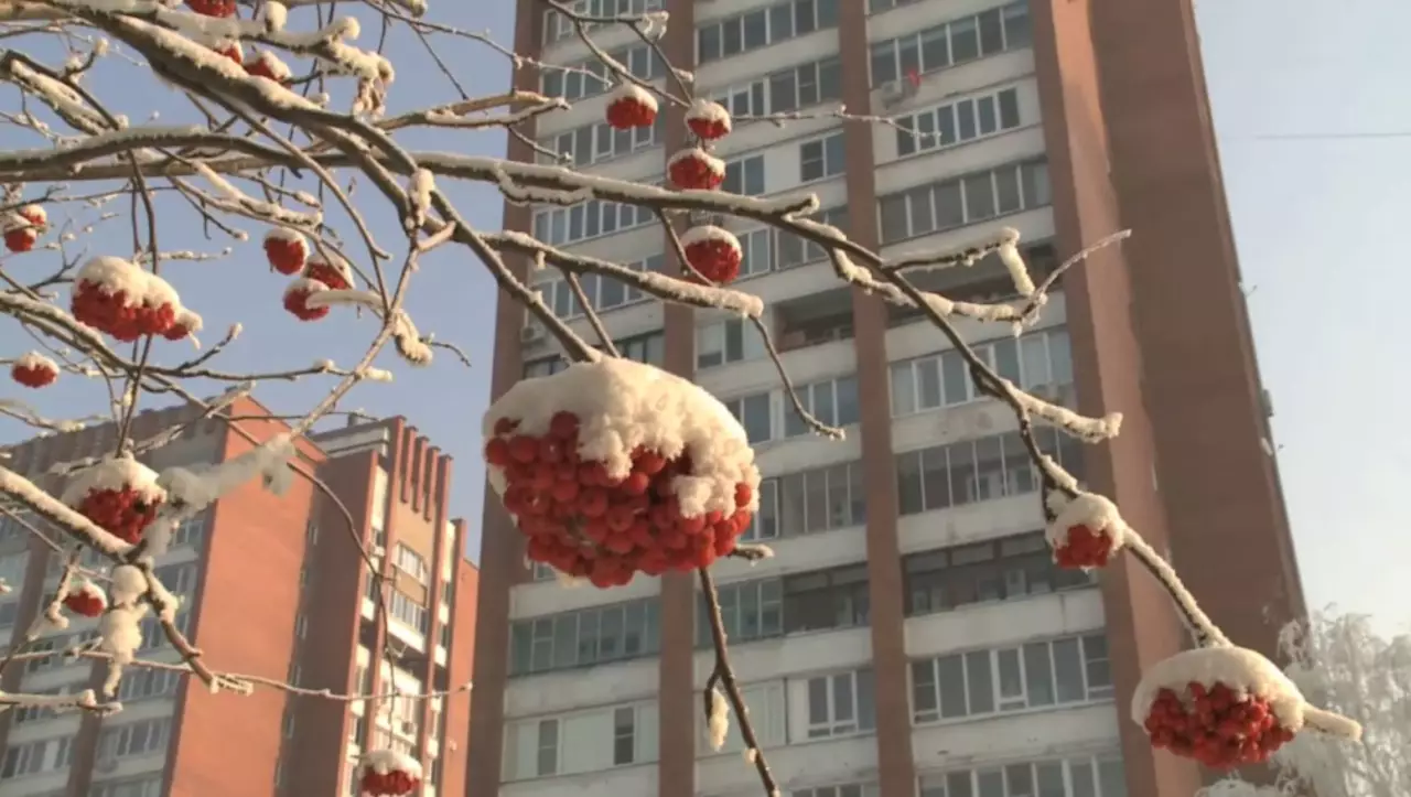 Ауа райы: елордада мектеп оқушылары сабақтан онлайн оқиды