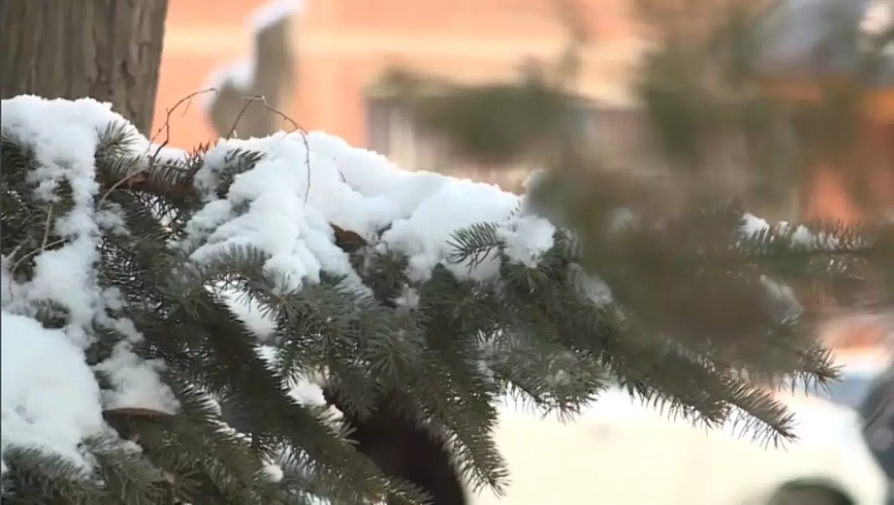 От минус 33 до плюс 8: озвучен прогноз погоды в Казахстане