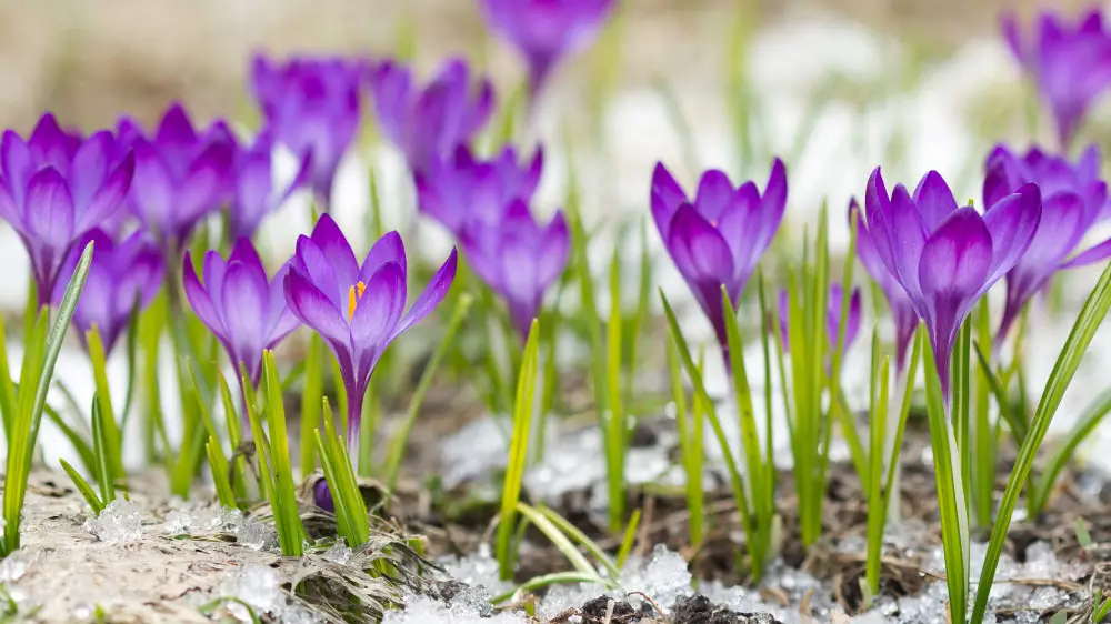 Қазақстанда күн жылынады