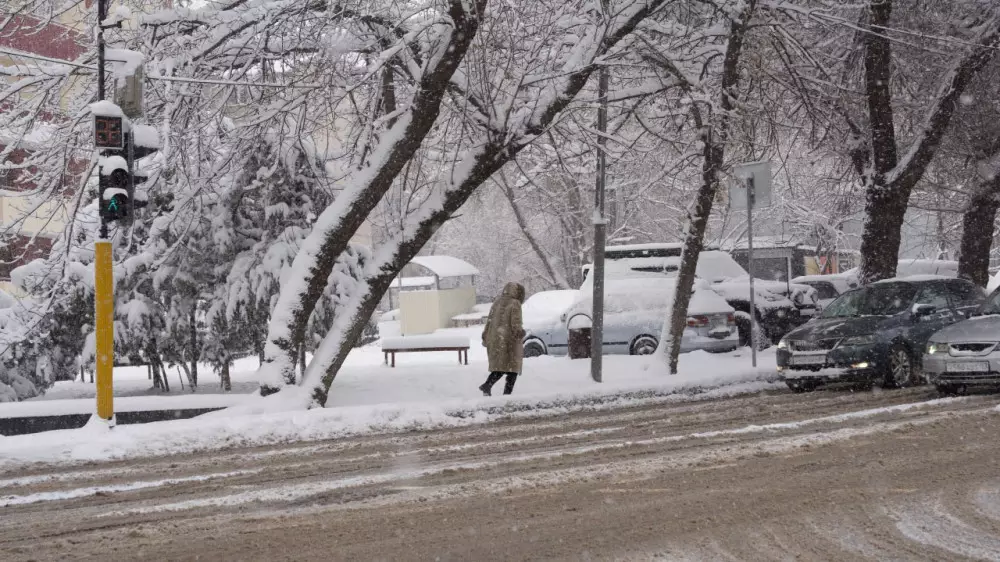 39 февраля в Алматы: как казахстанцы шутят о неожиданном снегопаде