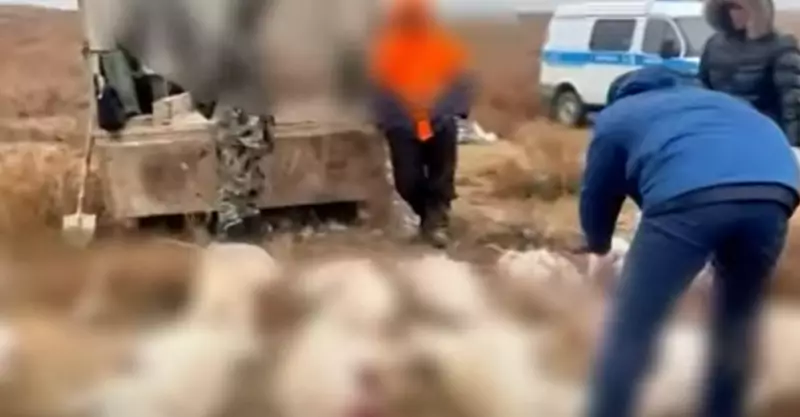 Туши сайги и оружие нашли у браконьеров в Актюбинской области