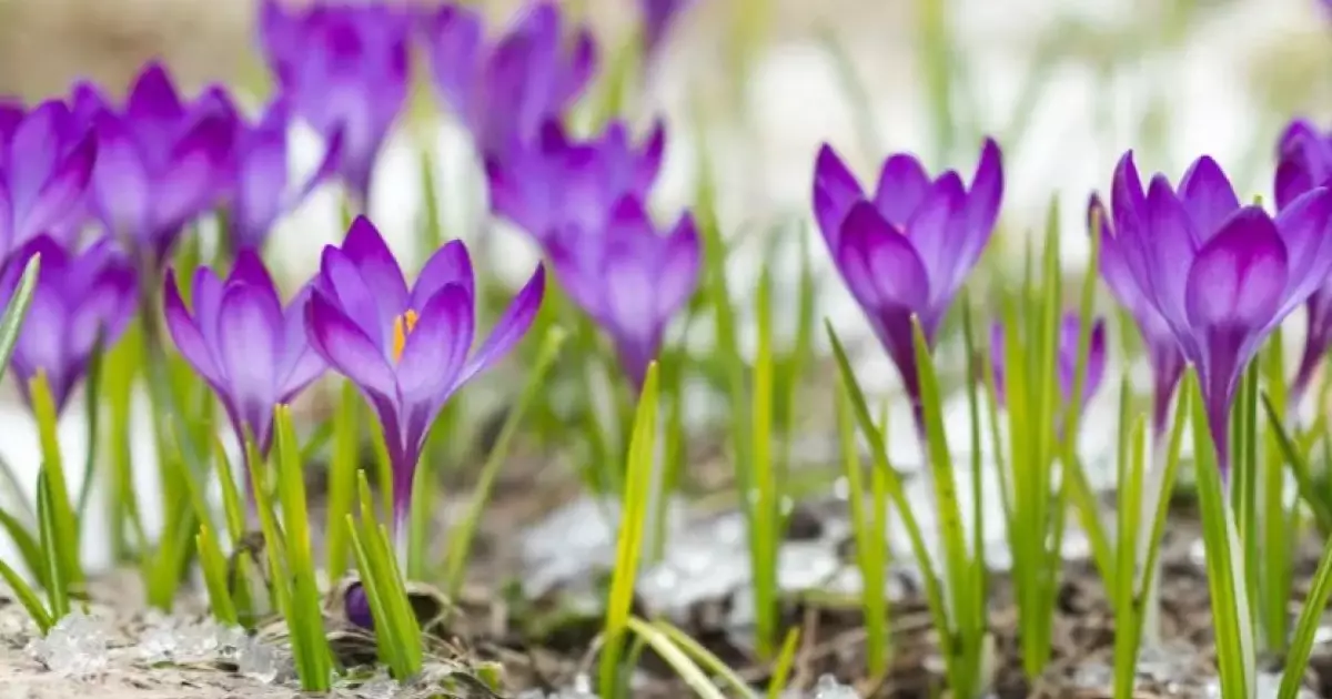  Еліміздің барлық аймағында күн жылынады 