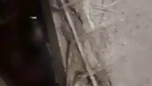 Нәжіске батқан: Алматыда жоғалып кеткен бойжеткен әжетханадан табылды