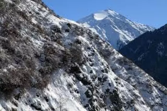 Шетелдік турист Алматы тауларында шатқалға құлап кетті