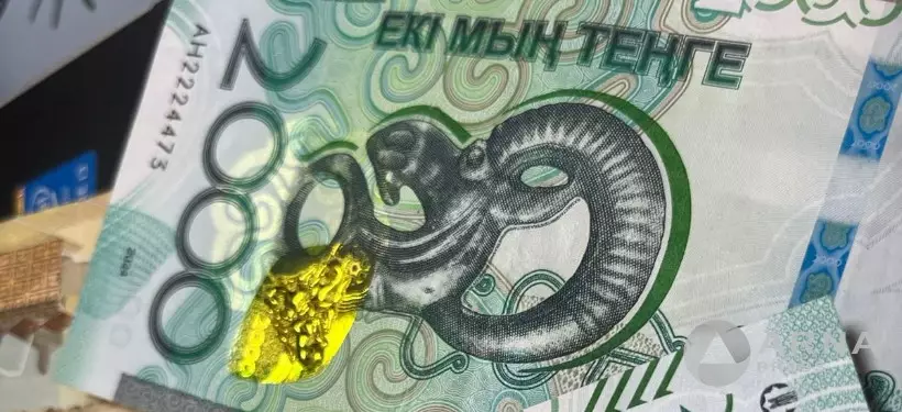 О ложных схемах получения социальных выплат предупреждает Минтруда Казахстана