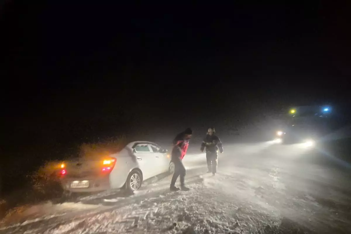 Чабан погиб в буран в Павлодарской области