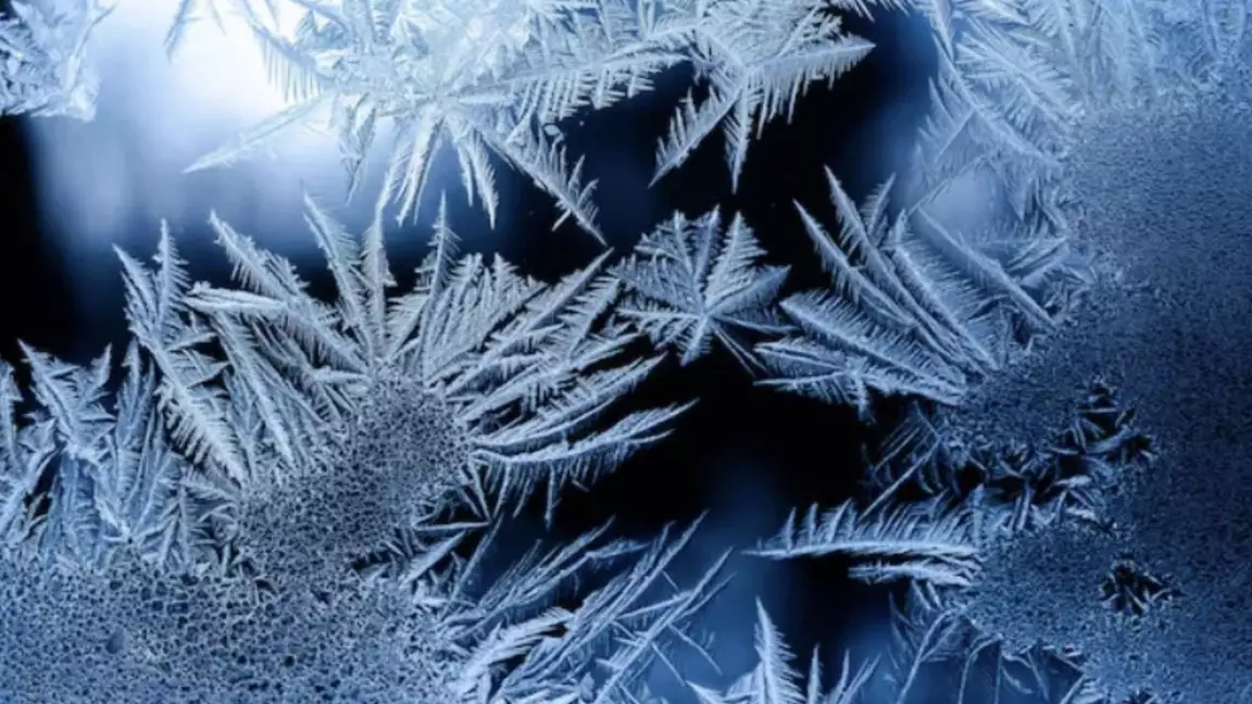 Павлодар облысында ер адам далада үсіп өлді