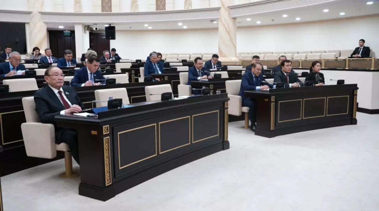 Жаңа Конституция жобасын түсіндіру бойынша сенаторлар 600-ге жуық кездесу өткізді