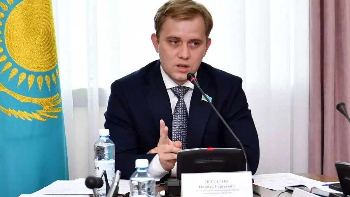 Депутат: Проект новой Конституции усиливает роль Парламента и права граждан