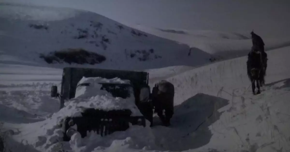  Павлодар облысы: боранда адасқан адамның мәйіті табылды 