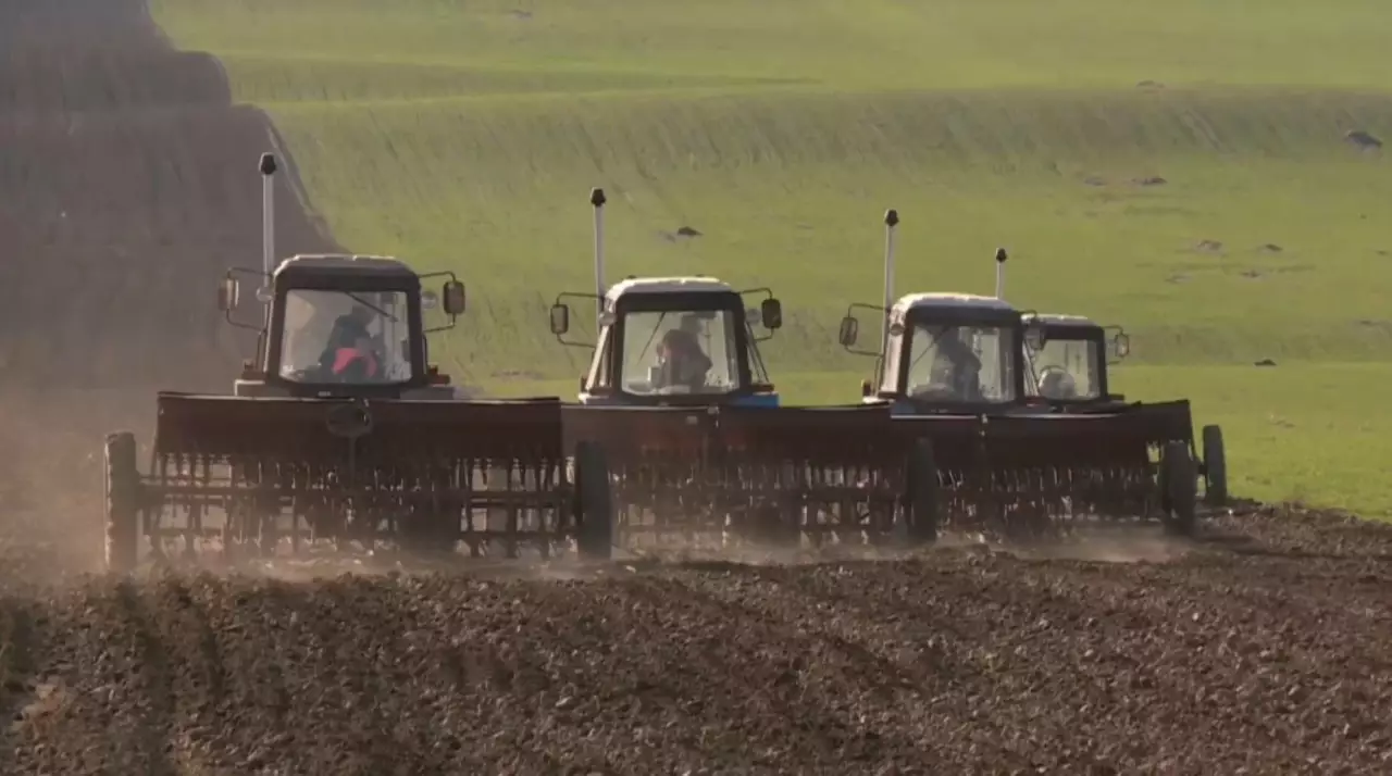 Шымкентте егістік жерлер көлемі екі мың гектарға азайды