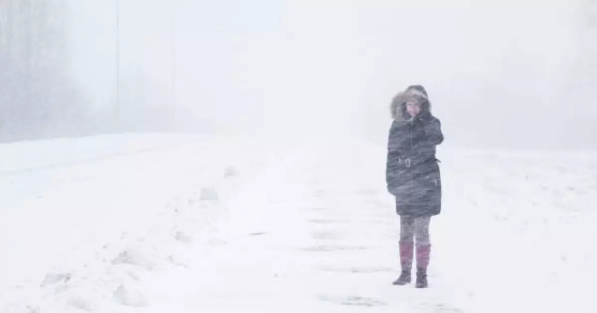  Желдің күшеюіне байланысты астаналық оқушылар қашықтан оқиды 